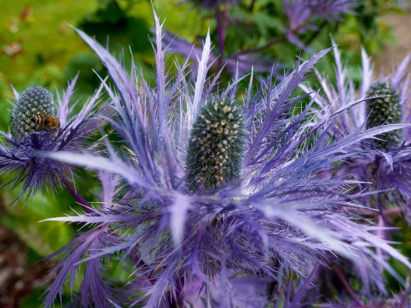 Region_Sent_Unterengadin_Bergmanifest